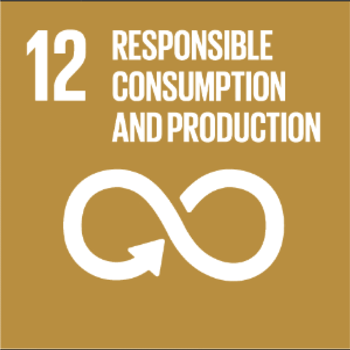 12 SDG image
